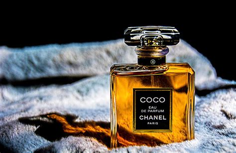 the best chanel perfumes